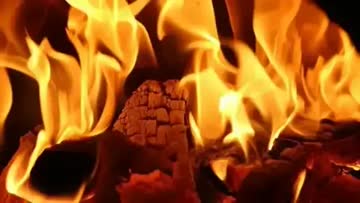 roaring fire with a large log burning in the foreground